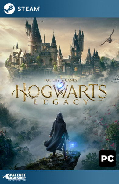 Hogwarts Legacy Steam [Account]